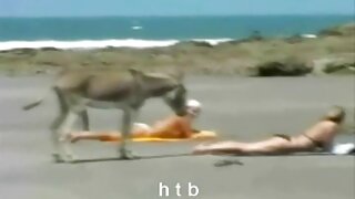 ओंगळ श्यामला slobbery आणि उत्सुक blowjob देते