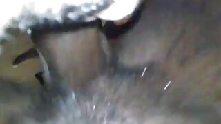 ऍनी तिचा स्कर्ट वर उचलते आणि कोंबडा चालवते